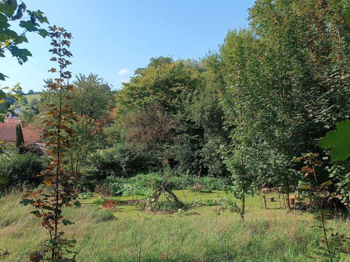 Image No.21-3 Bed House for sale