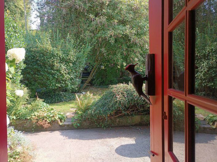 Image No.23-3 Bed House for sale