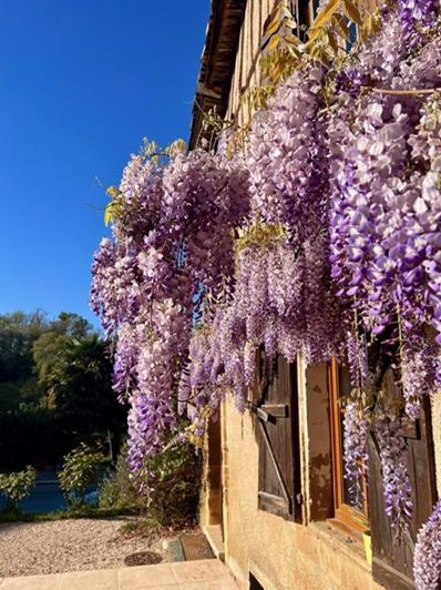 Image No.28-7 Bed House for sale