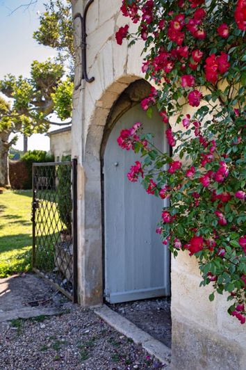 Image No.37-Maison de 6 chambres à vendre à Flaujagues