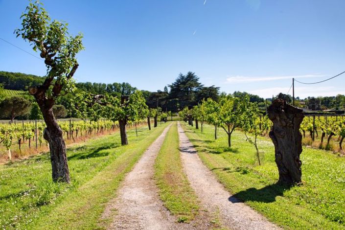 Image No.40-Maison de 6 chambres à vendre à Flaujagues