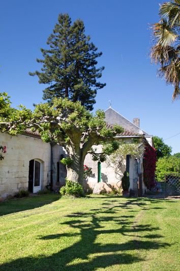 Image No.38-Maison de 6 chambres à vendre à Flaujagues