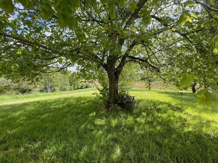 Image No.35-4 Bed House for sale