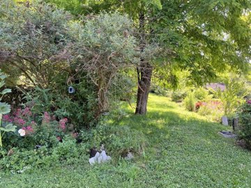 c89f6a3380cb0a50e5f124319b640019