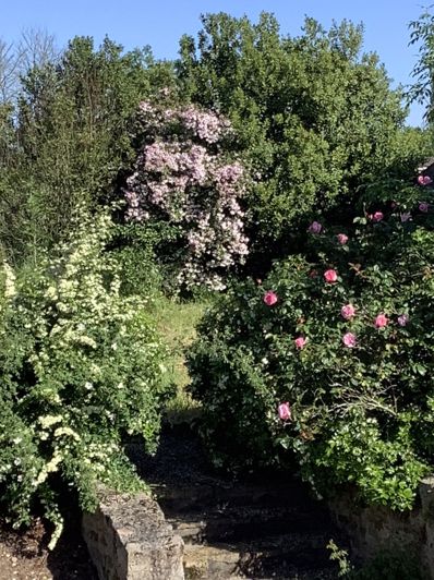 Image No.15-3 Bed Country House for sale