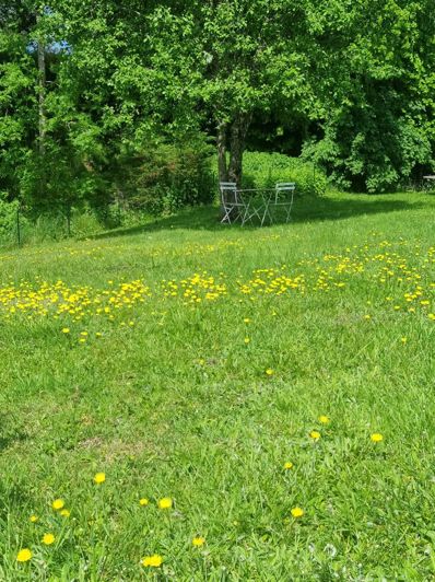 Image No.34-Maison de 5 chambres à vendre à Bugeat