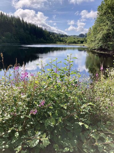 Image No.41-4 Bed Farmhouse for sale