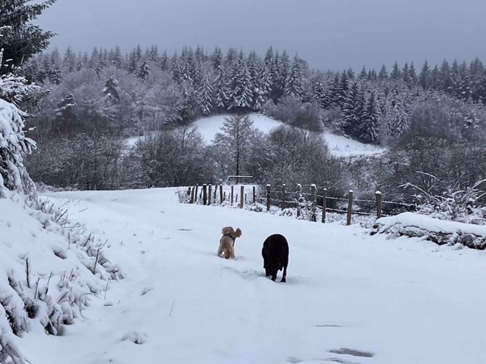 Image No.42-Ferme de 4 chambres à vendre à Gourdon-Murat
