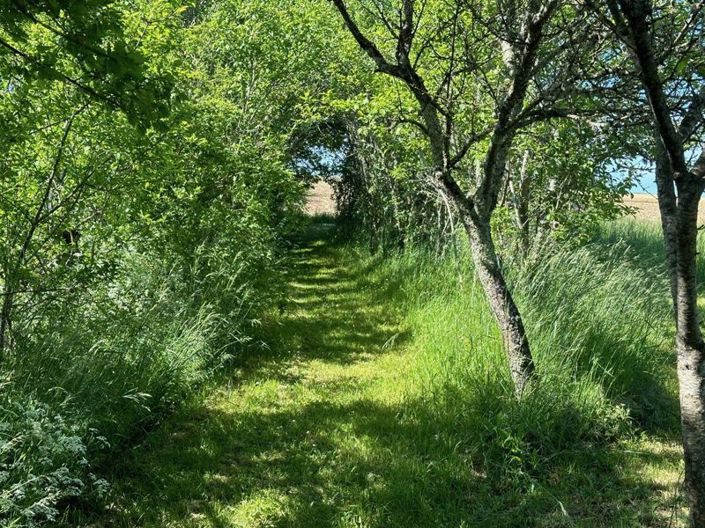 Image No.25-4 Bed Country House for sale