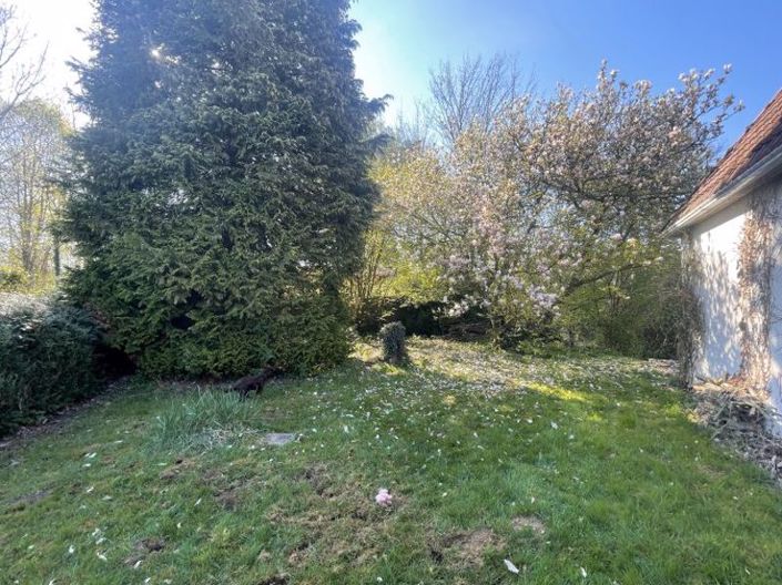 Image No.20-4 Bed Cottage for sale