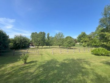 photoe9e67c8cc8c4810123093ab4709994c4