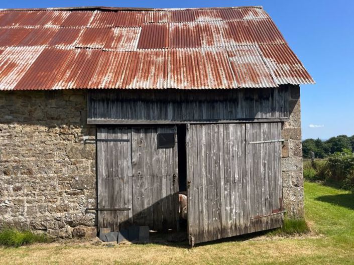 Image No.21-Maison de 3 chambres à vendre à Sourdeval