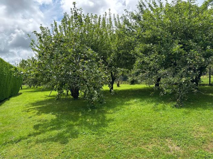 Image No.4-Chalet de 2 chambres à vendre à Sourdeval