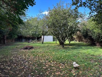 suzanneinfrance-002051-img9138