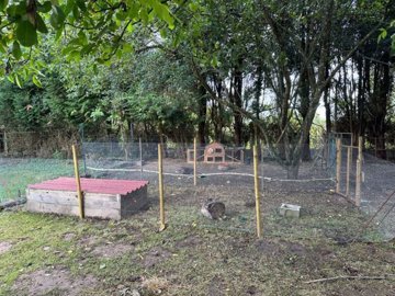 suzanneinfrance-002051-img9135