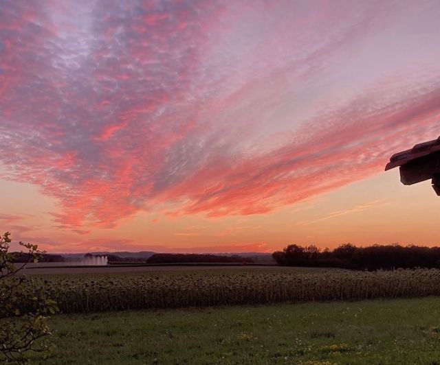 Image No.42-8 Bed House for sale