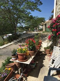 photo-2025-10-15-15-43-51-4