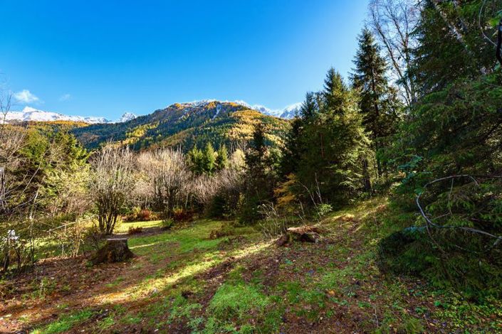 Image No.5-Chalet de 2 chambres à vendre à Chamonix-Mont-Blanc