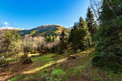 mountain-base20251030-4-2025-10-30-mb-max-piv