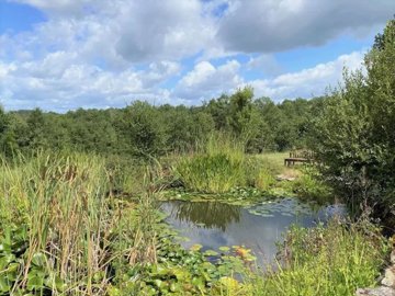 c6cc66c02c34a08999dd993138c41d76