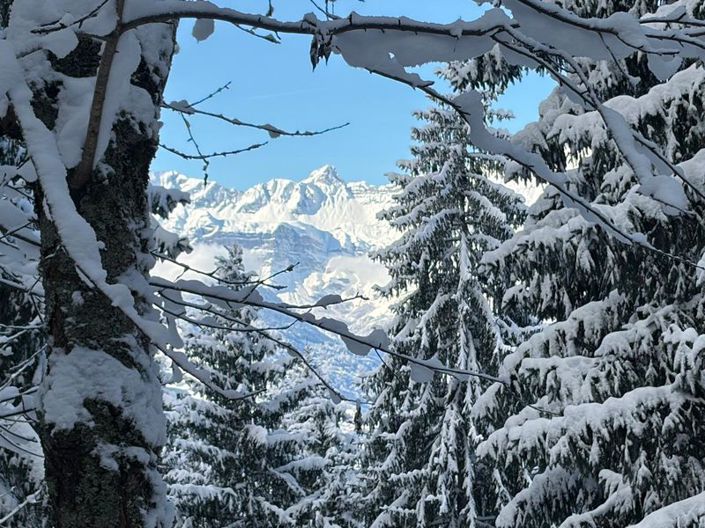 Image No.34-3 Bed Chalet for sale