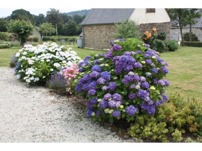 Image No.18-3 Bed Cottage for sale