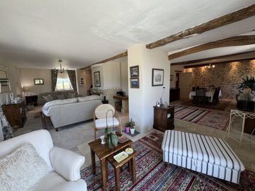 maison-11-pieces-marciac-32230-1765360603-vm4