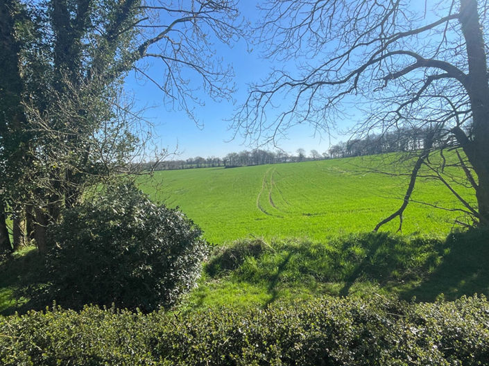 Image No.4-3 Bed Cottage for sale