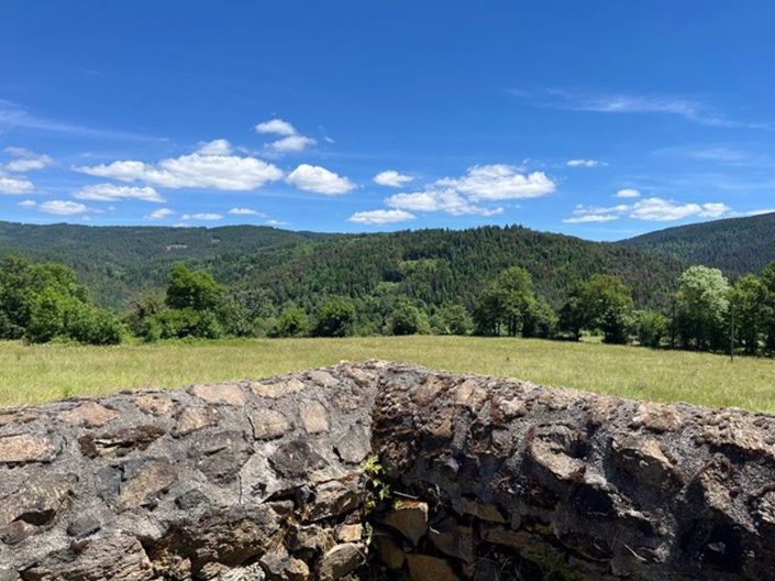 Image No.45-Propriété de 4 chambres à vendre à Haute-Loire