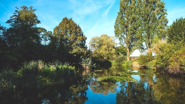 Image No.45-Propriété de 12 chambres à vendre à Indre