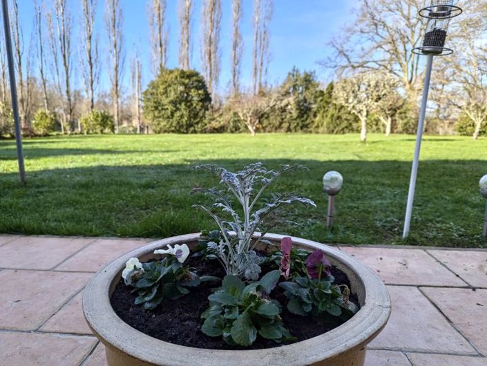 Image No.15-3 Bed Property for sale