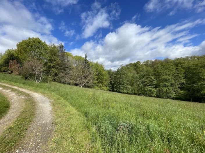 Image No.30-Propriété de 4 chambres à vendre à Gers