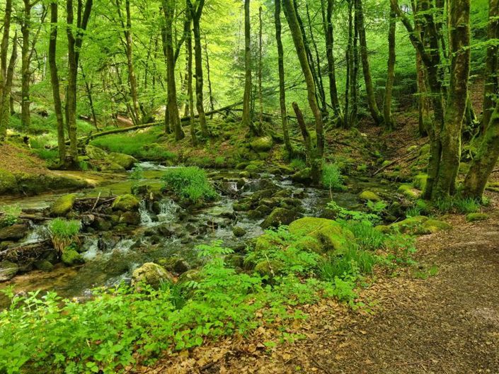 Image No.42-Propriété de 5 chambres à vendre à Corrèze