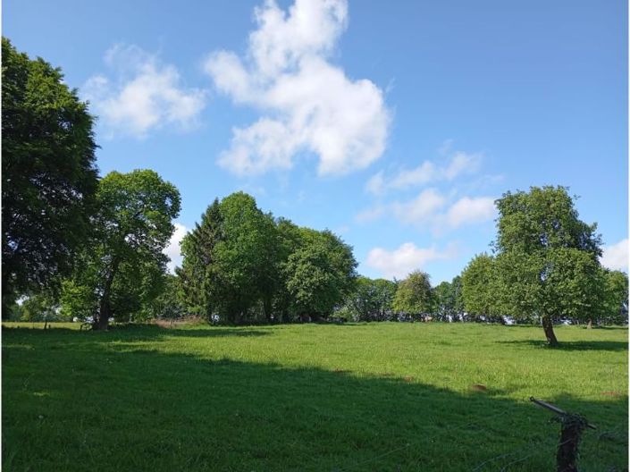 Image No.30-3 Bed Property for sale