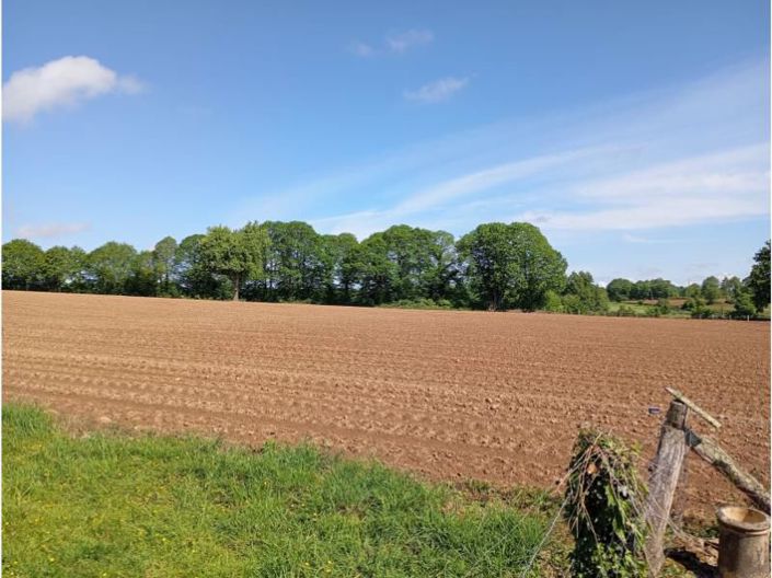 Image No.31-3 Bed Property for sale