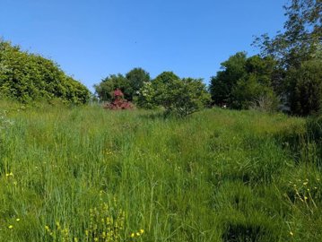 5249ef2fe7d7aa3f9a0e71ed02d531113fcc28cdd2192