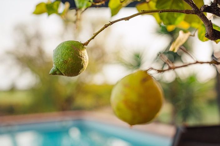 Image No.47-Propriété de 7 chambres à vendre à Gers