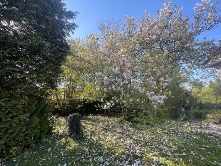 Image No.21-Propriété de 4 chambres à vendre à Pas-de-Calais