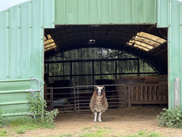 Image No.29-4 Bed Property for sale