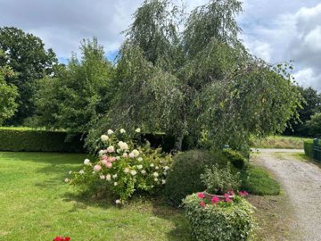 suzanneinfrance-002033-img8086