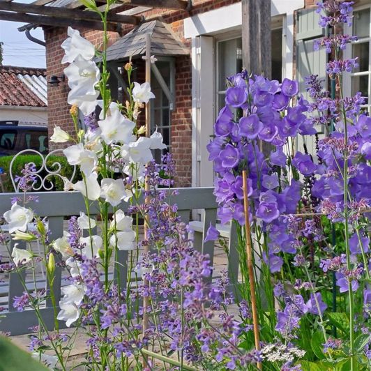 Image No.22-2 Bed Property for sale