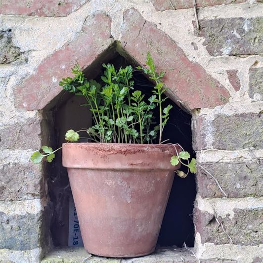 Image No.29-2 Bed Property for sale