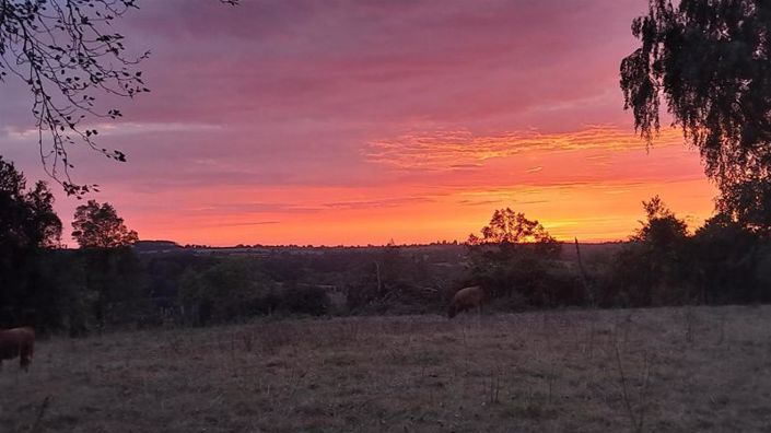 Image No.35-2 Bed Property for sale