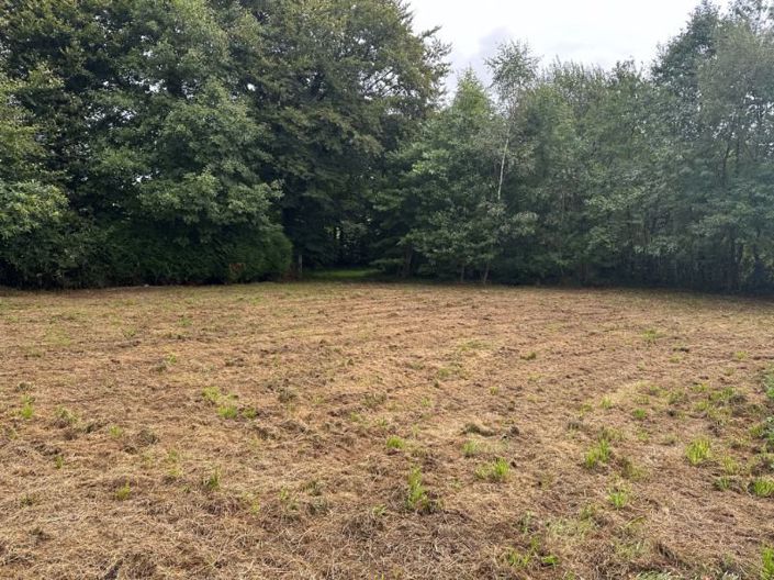 Image No.29-3 Bed Property for sale