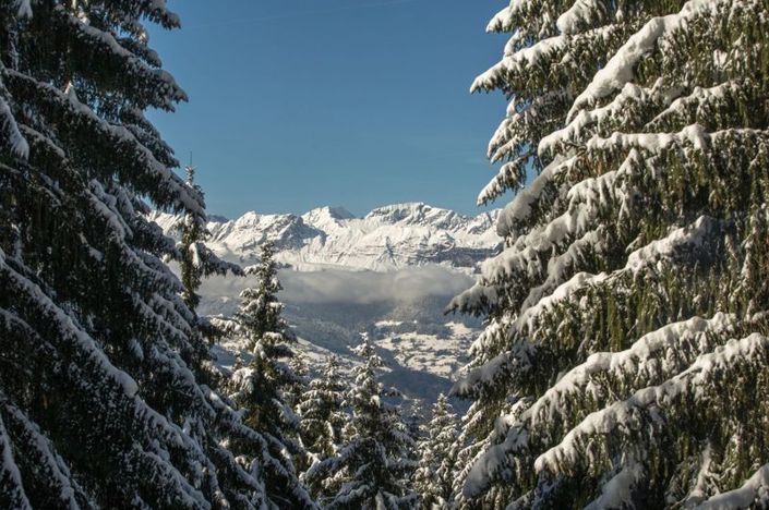 Image No.27-3 Bed Property for sale