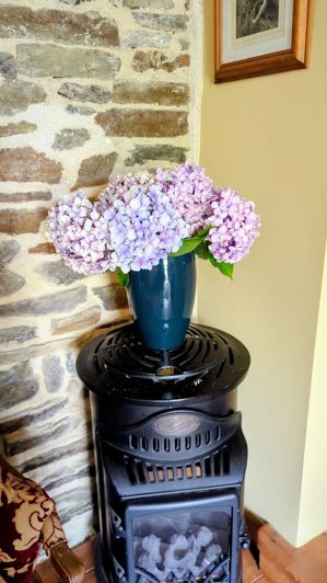 Image No.16-1 Bed Property for sale