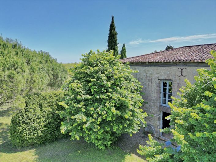 Image No.25-Propriété de 3 chambres à vendre à Gironde