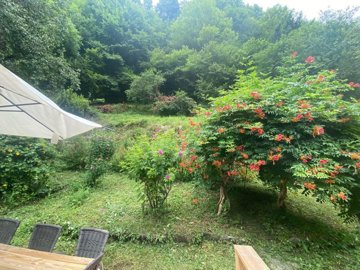 maison-ancienne-8-pieces-bedous-64490-1772709