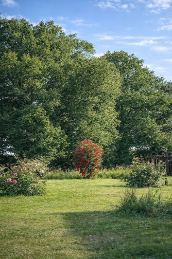 Image No.17-Propriété de 3 chambres à vendre à Hautes-Pyrénées
