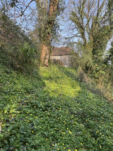 Image No.21-Propriété de 5 chambres à vendre à Pyrenees-Atlantiques